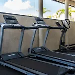 Fancy 3 Bedroom Apartments In Downtown Playa Rooftop Pool Gym